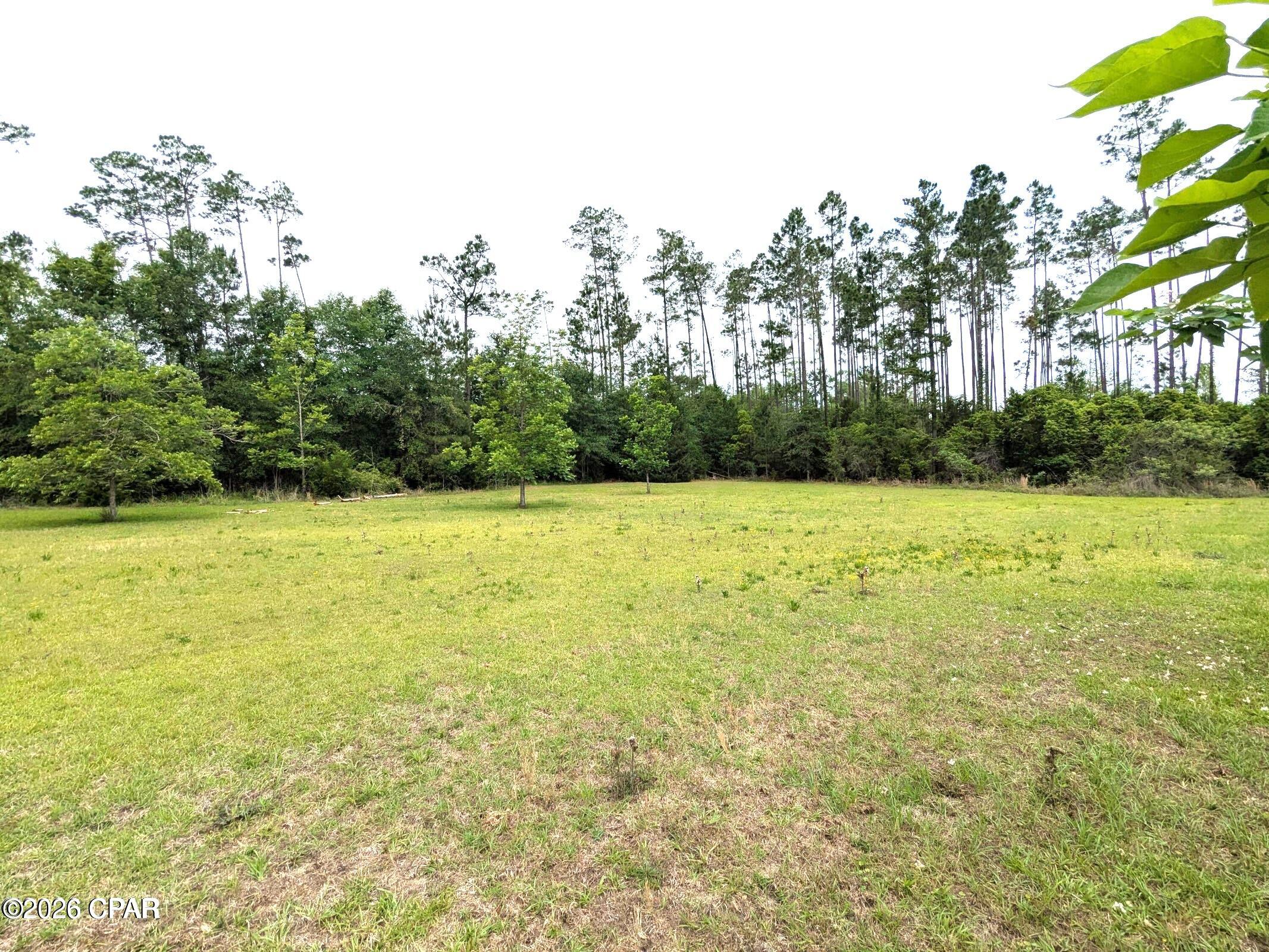 1309 Fairview Road Marianna, FL 32448 - Photo 10 of 29