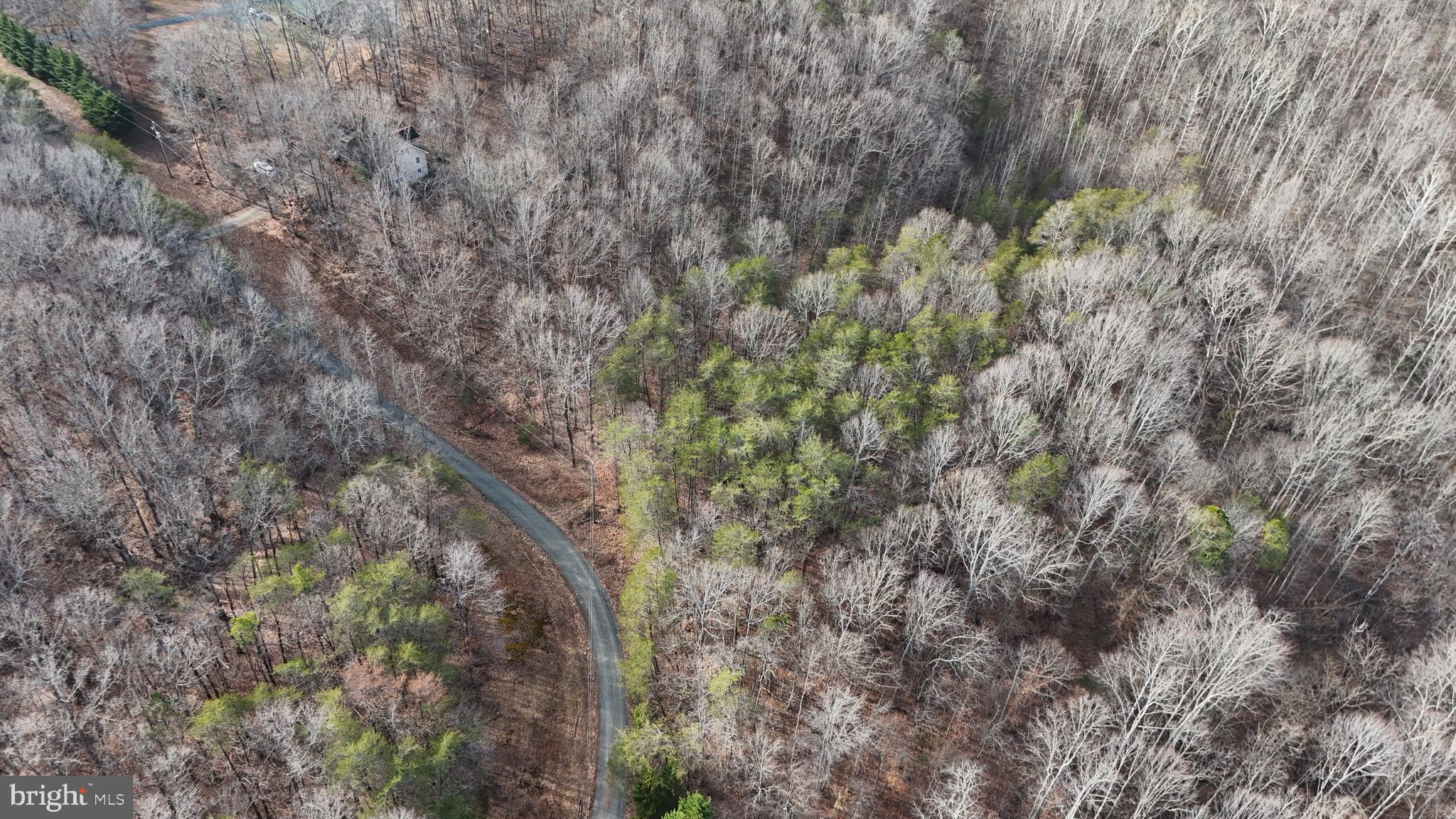 0 Lind Hill Lane Spout Spring, VA 24593 - Photo 13 of 17