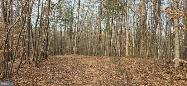 $29,900 | 0 Lind Hill Lane, Spout Spring, VA 24593