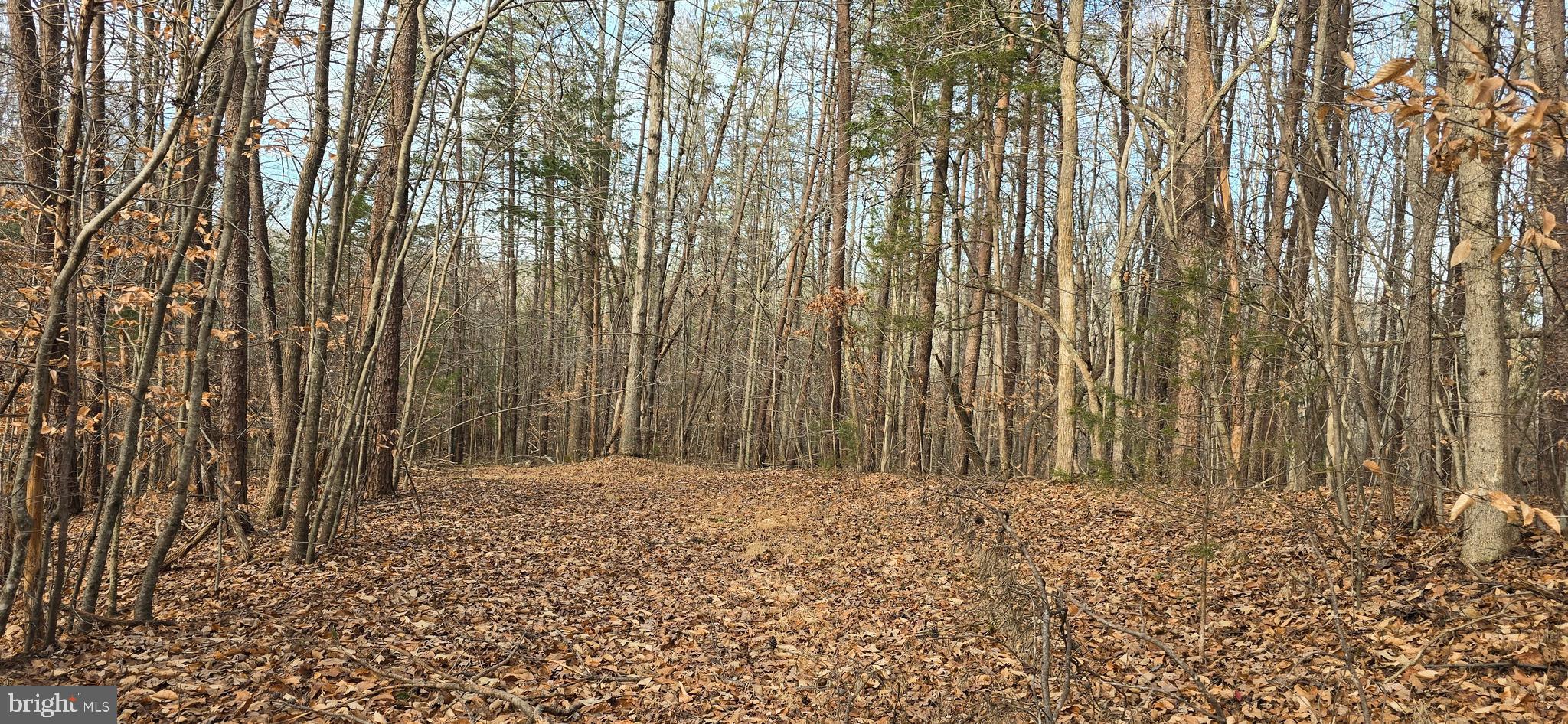 0 Lind Hill Lane Spout Spring, VA 24593 - Photo 3 of 17