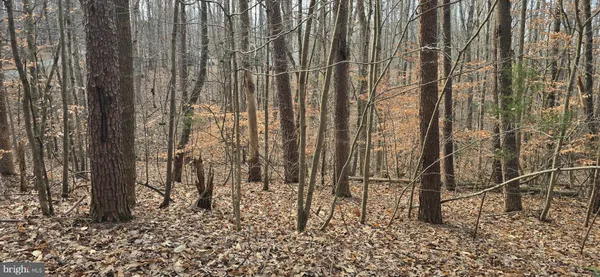 $29,900 | 0 Lind Hill Lane, Spout Spring, VA 24593