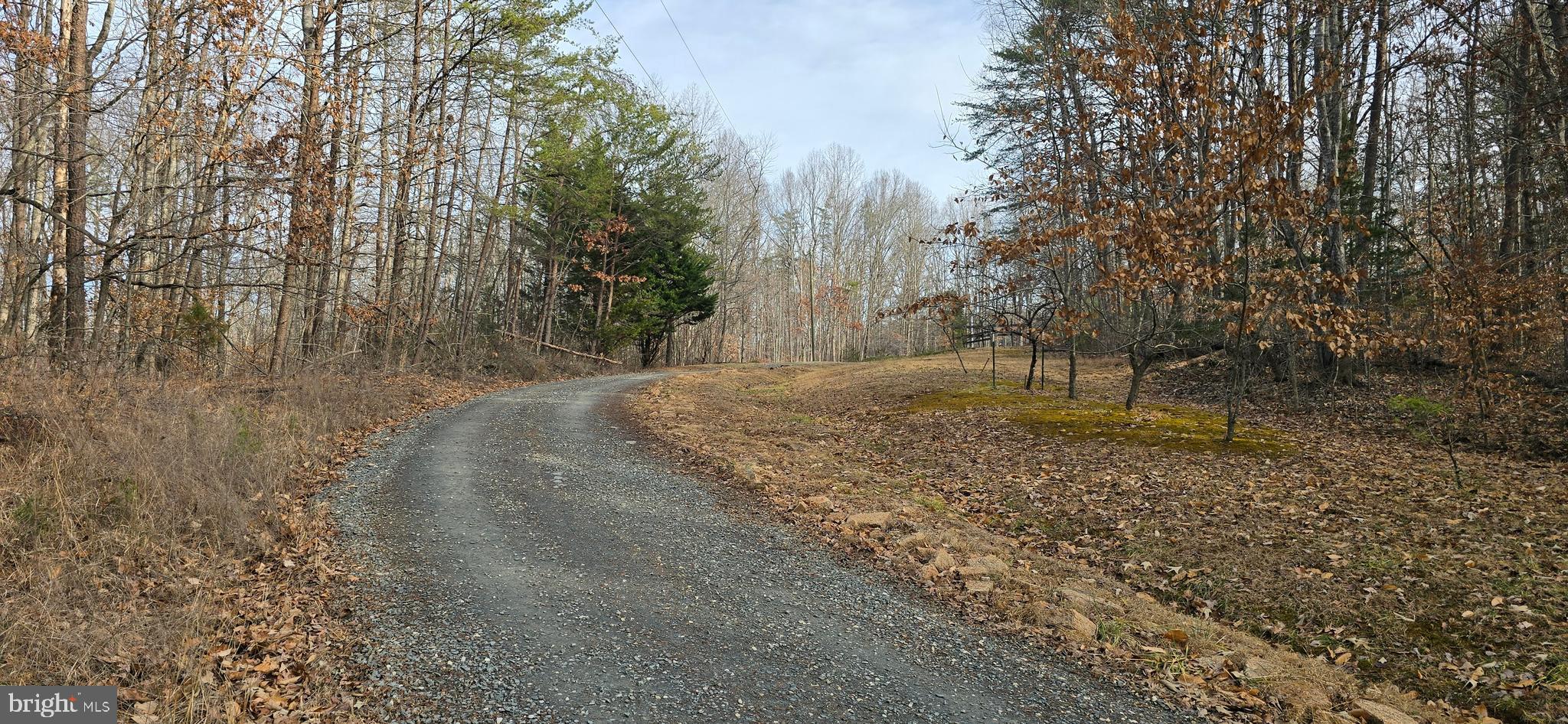 0 Lind Hill Lane Spout Spring, VA 24593 - Photo 5 of 17