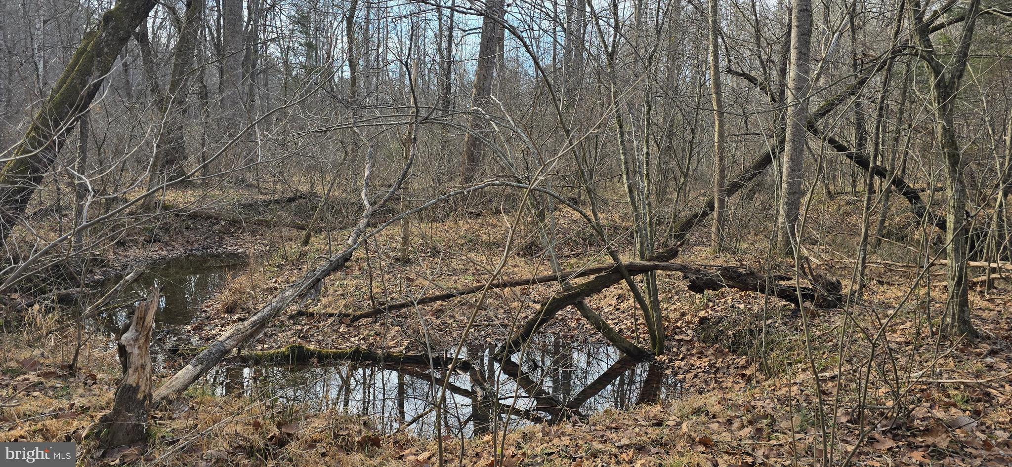 0 Lind Hill Lane Spout Spring, VA 24593 - Photo 6 of 17