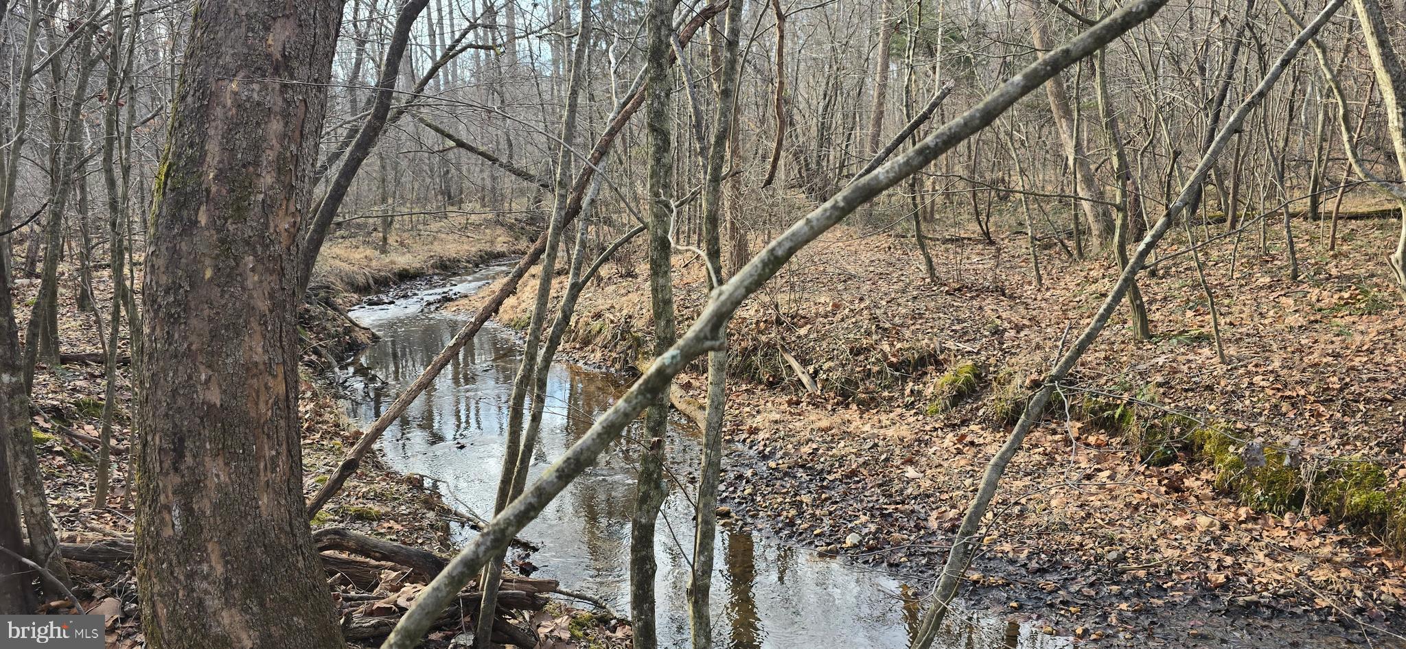 0 Lind Hill Lane Spout Spring, VA 24593 - Photo 7 of 17