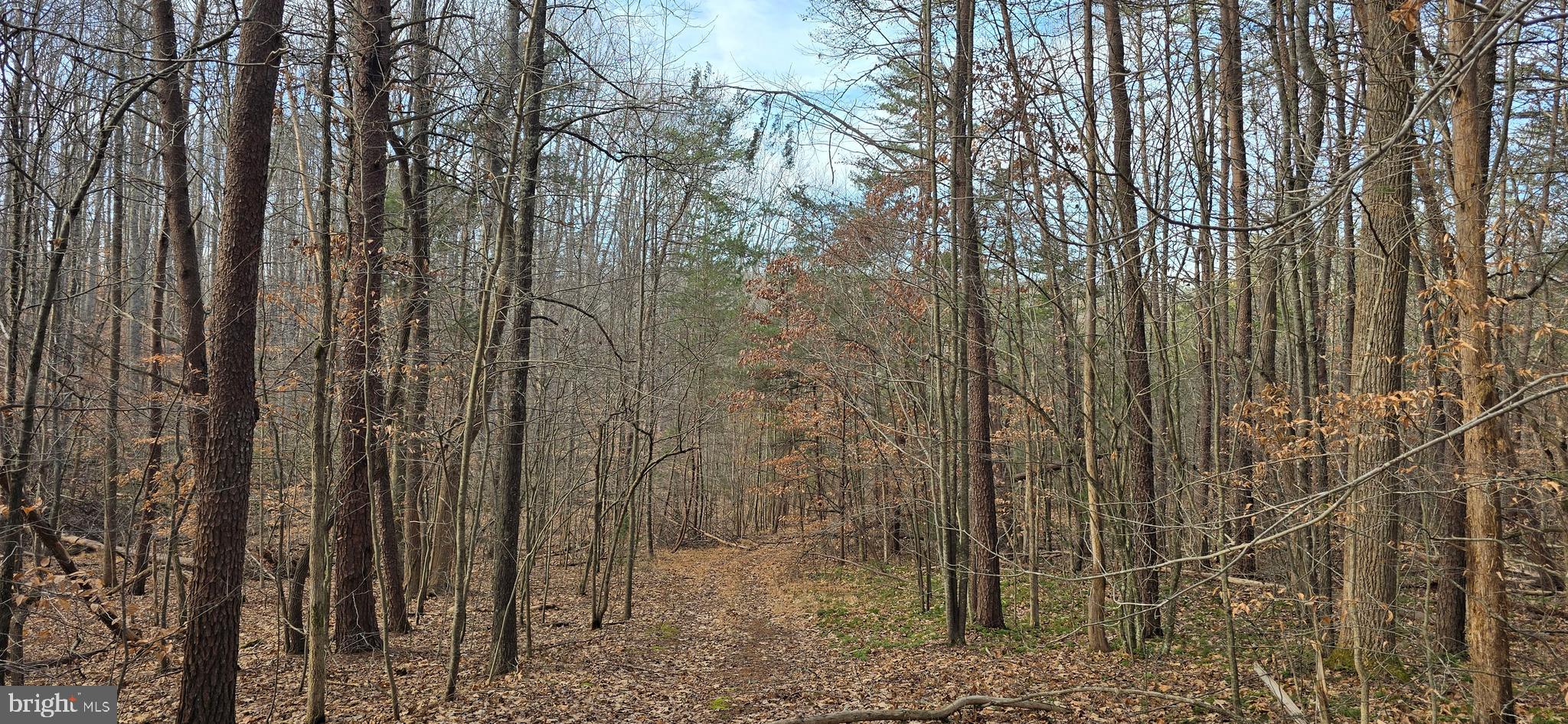 0 Lind Hill Lane Spout Spring, VA 24593 - Photo 8 of 17