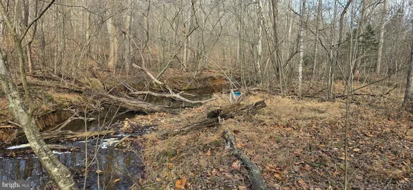 $29,900 | 0 Lind Hill Lane, Spout Spring, VA 24593