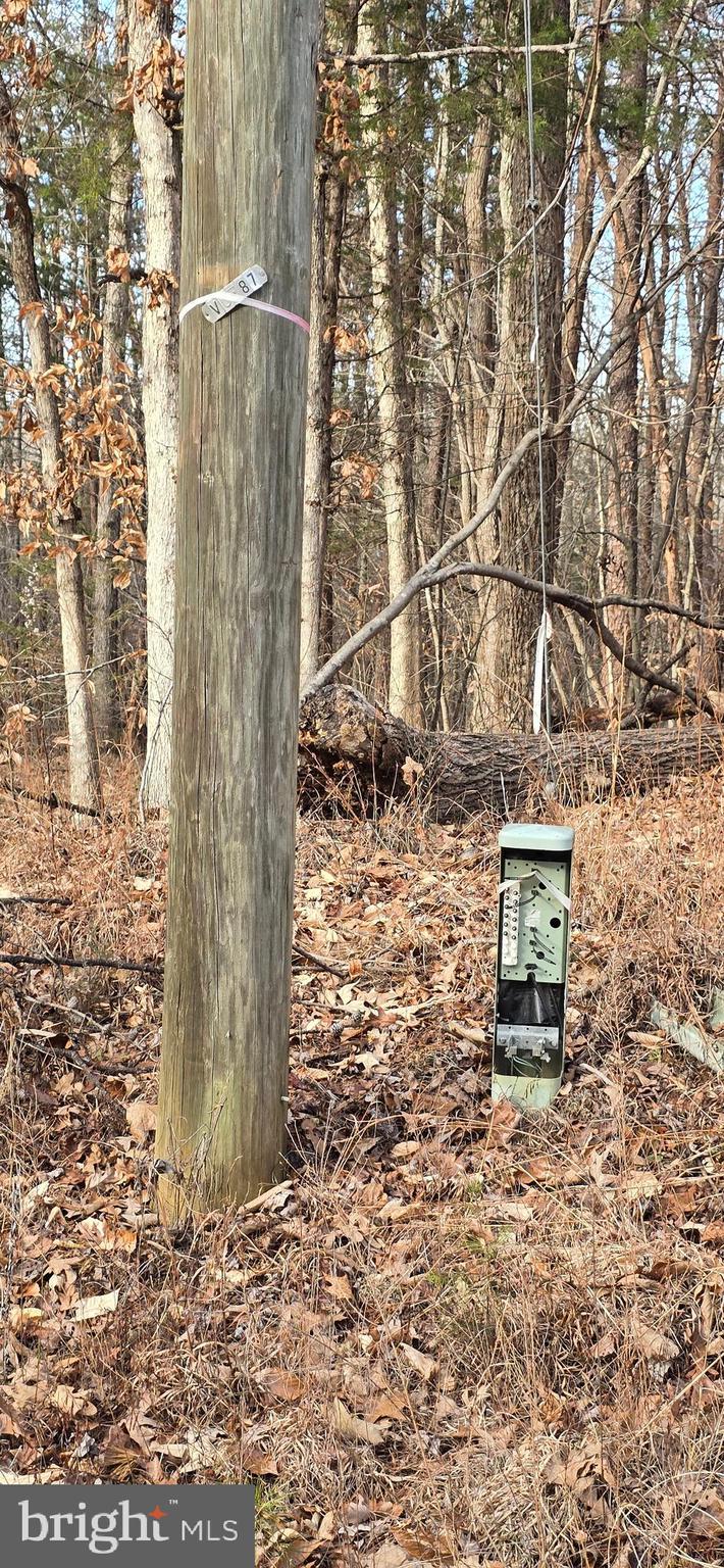 0 Lind Hill Lane Spout Spring, VA 24593 - Photo 10 of 17