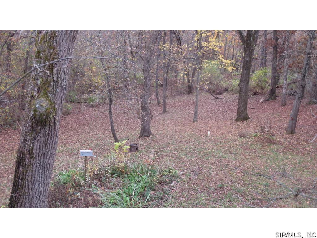 13270 Marys Creek Road Sparta, IL 62286 - Photo 28 of 34 Gallery Image 28