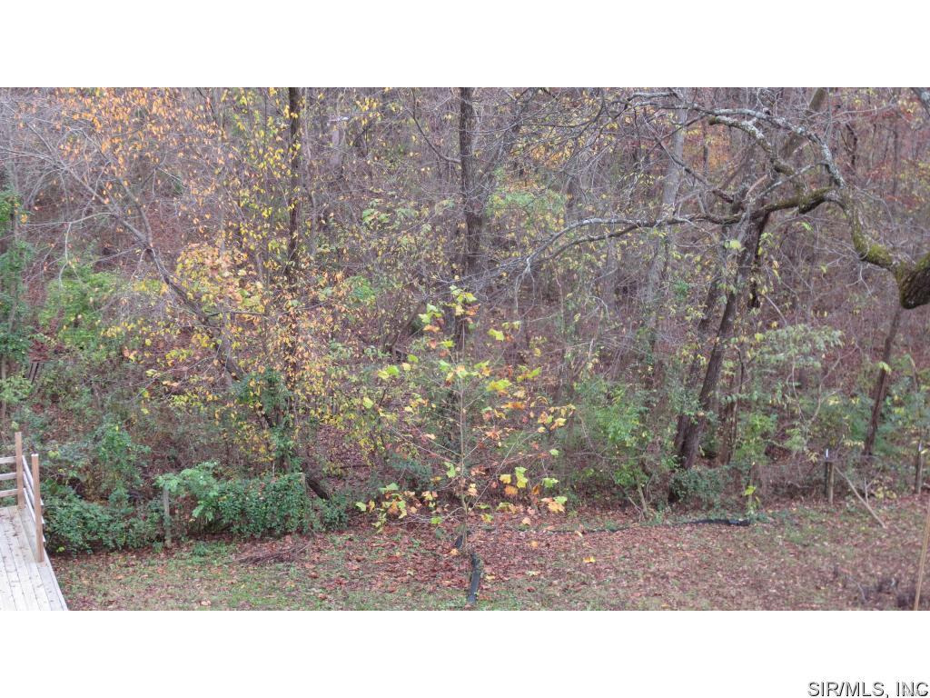 13270 Marys Creek Road Sparta, IL 62286 - Photo 29 of 34 Gallery Image 29