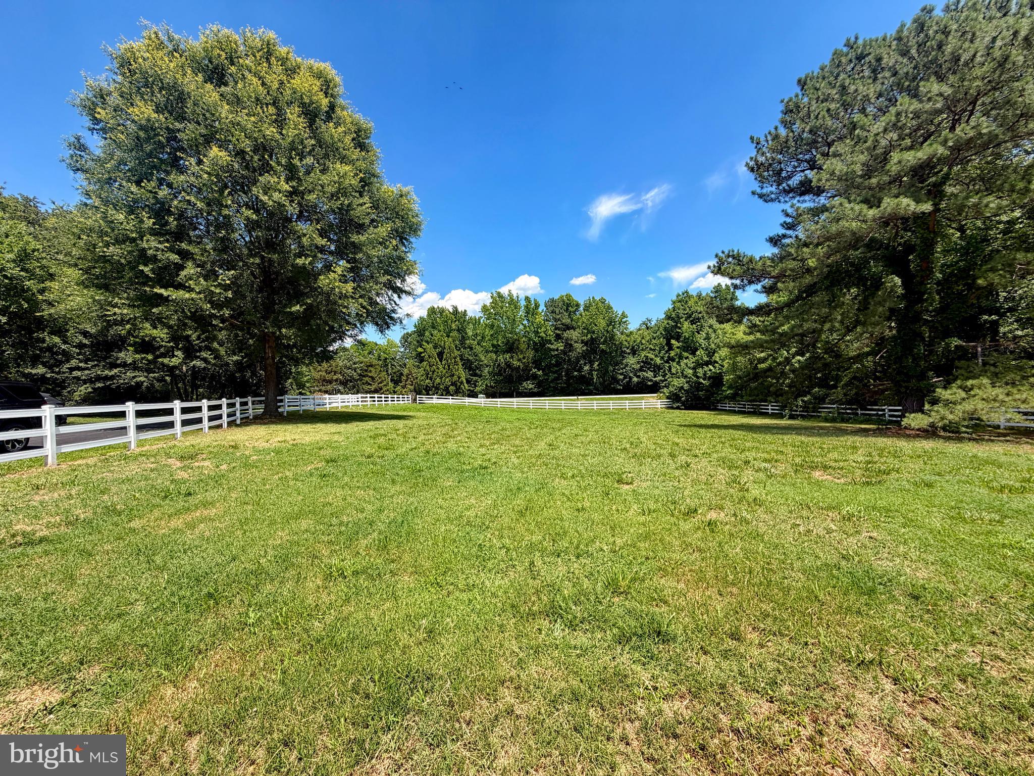 13655 Waverly Point Road Newburg, MD 20664 - Photo 6 of 6 View into Pasture