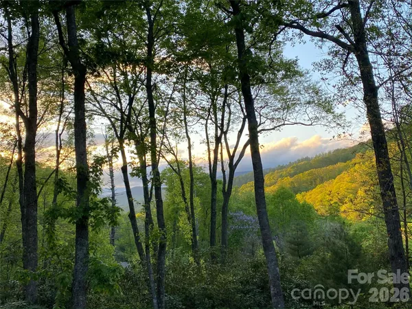 a view of mountain view with lots of trees