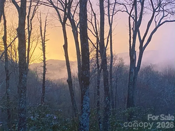 a view of outdoor space