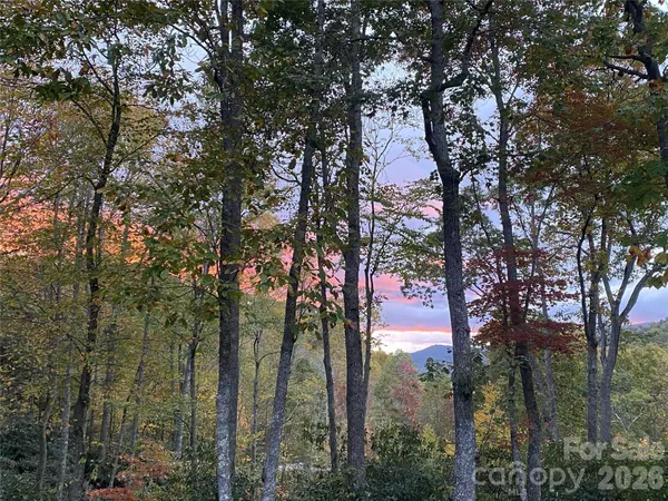 a view of a city with lots of trees