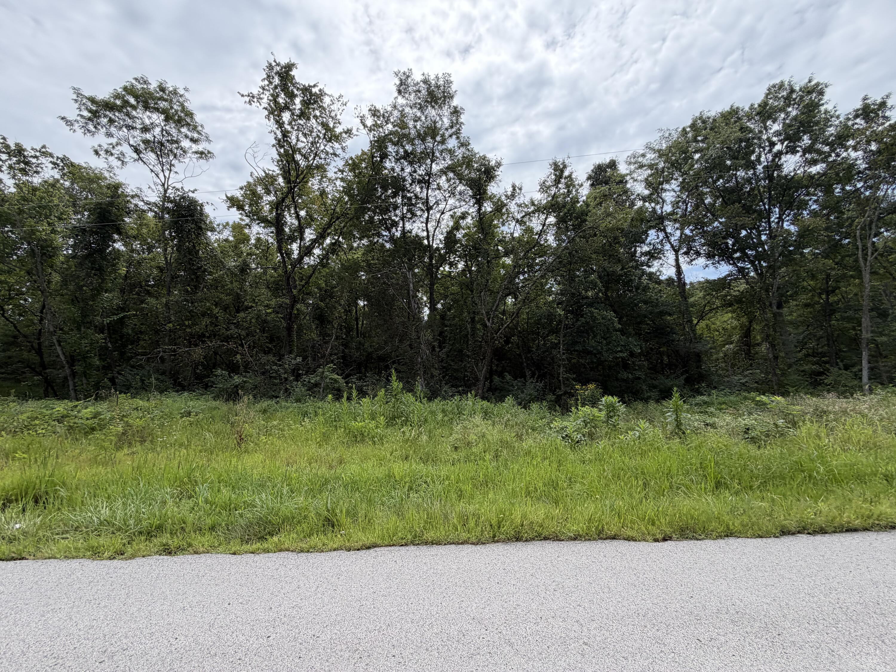0 New Columbus Road Owenton, KY 40359 - Photo 16 of 18 IMG_5660