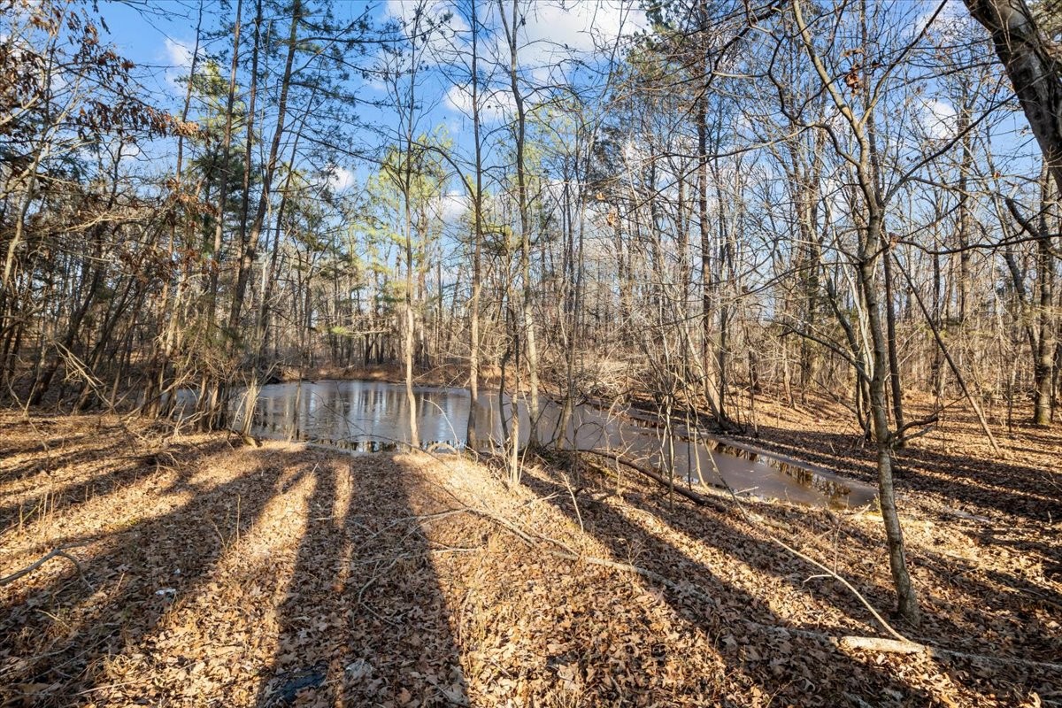 10168 New Hope Road Bon Aqua, TN 37025 - Photo 27 of 47 Gallery Image 27