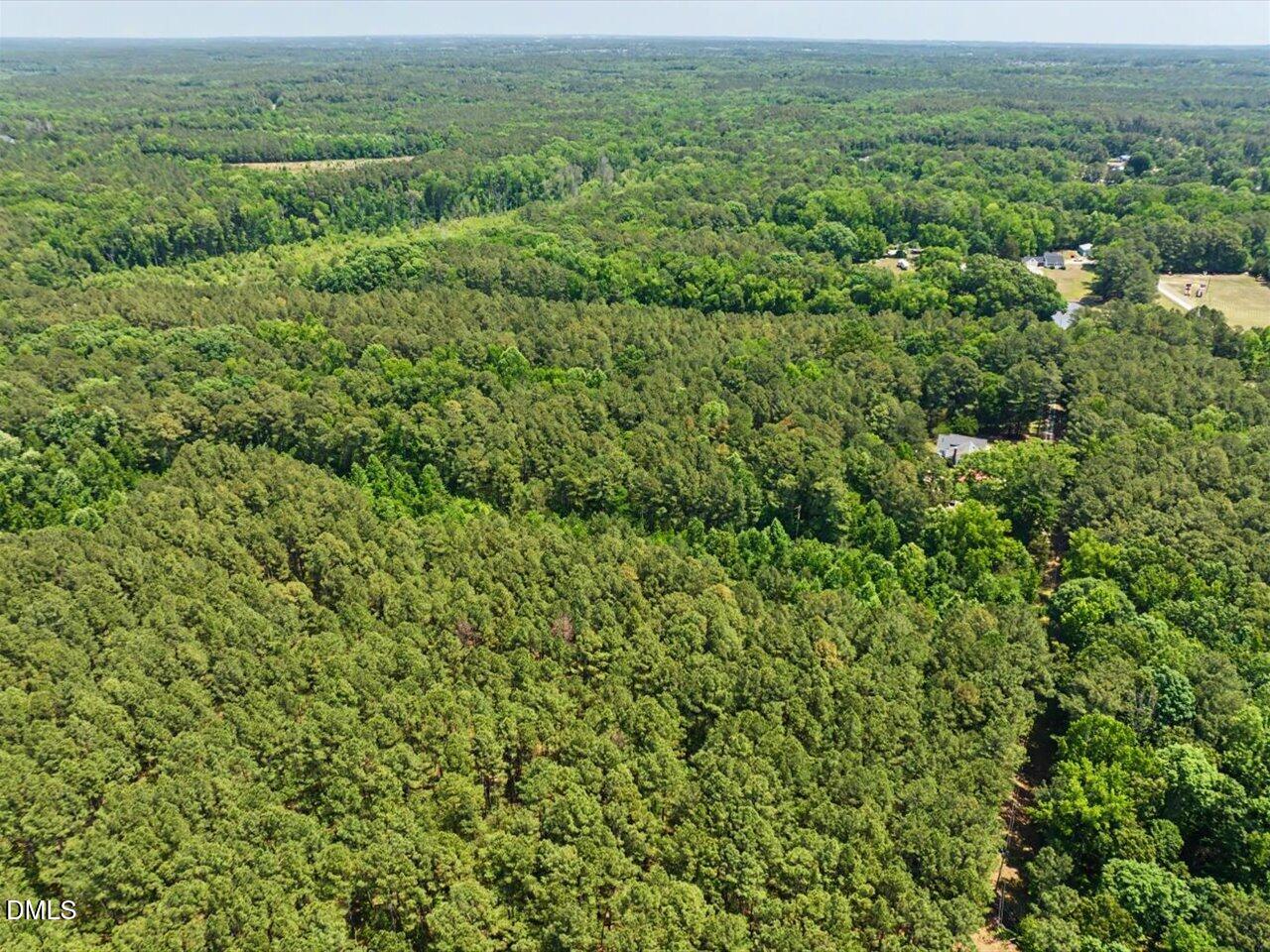 Lot 2 Clyde Farrell Road Apex, NC 27523 - Photo 16 of 28