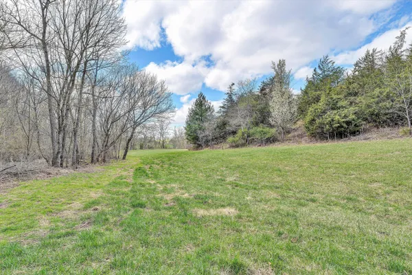 a view of a yard with plants and trees