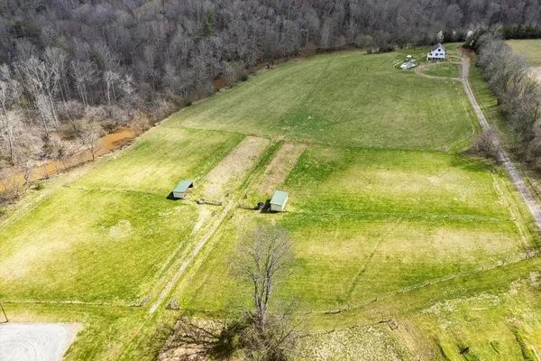 a view of a grassy field with an trees