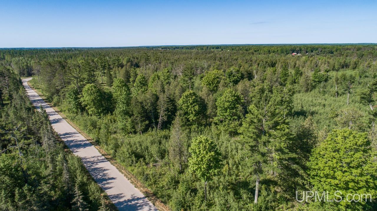 Tbd 80-acres 30th Road Rapid River, MI 49878 - Photo 6 of 17
