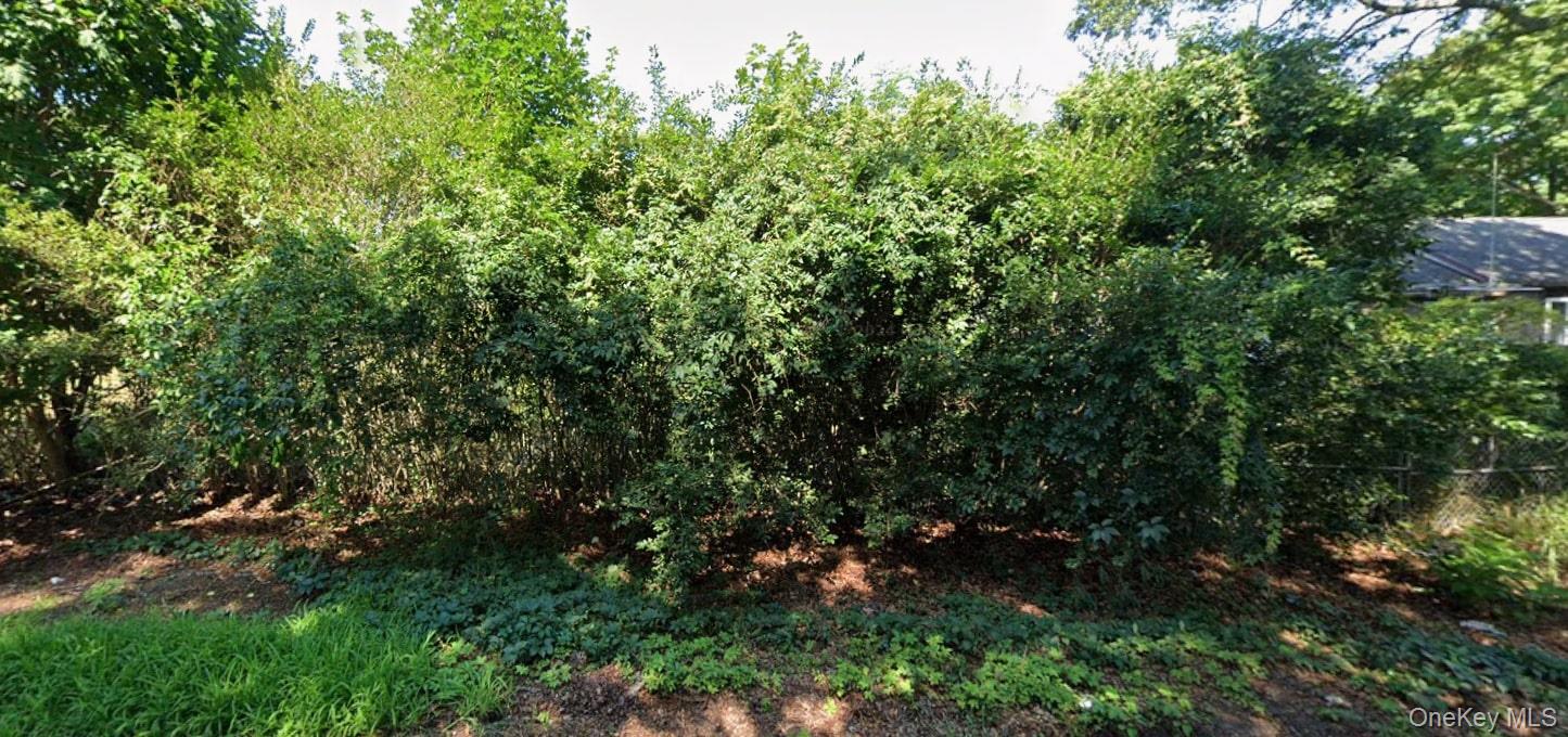 View of undeveloped land