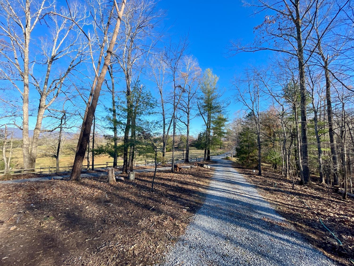 1739 Old Cifax Road Goode, VA 24556 - Photo 46 of 52 a view of a yard with trees