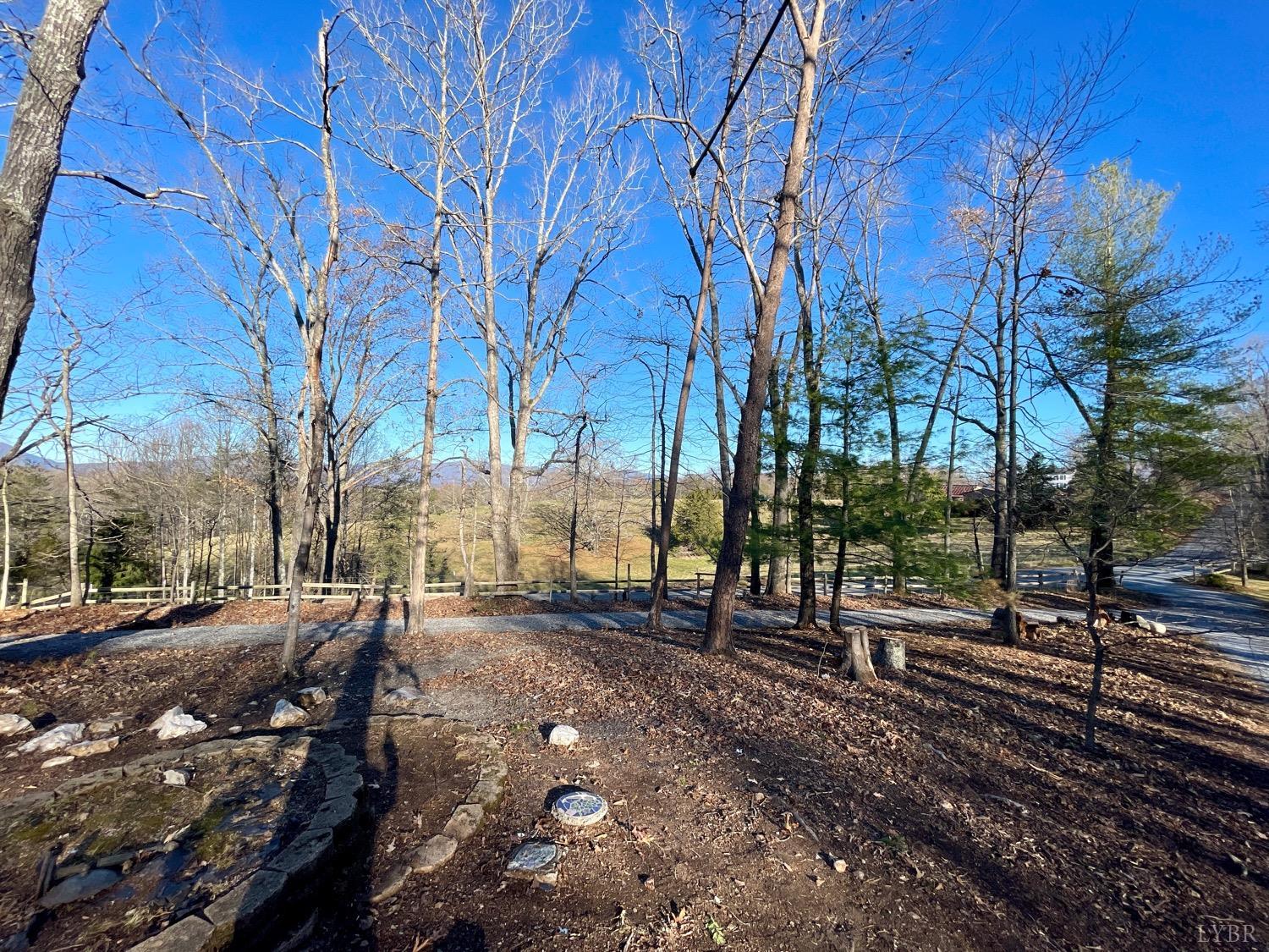 1739 Old Cifax Road Goode, VA 24556 - Photo 47 of 52 a view of a yard with wooden fence