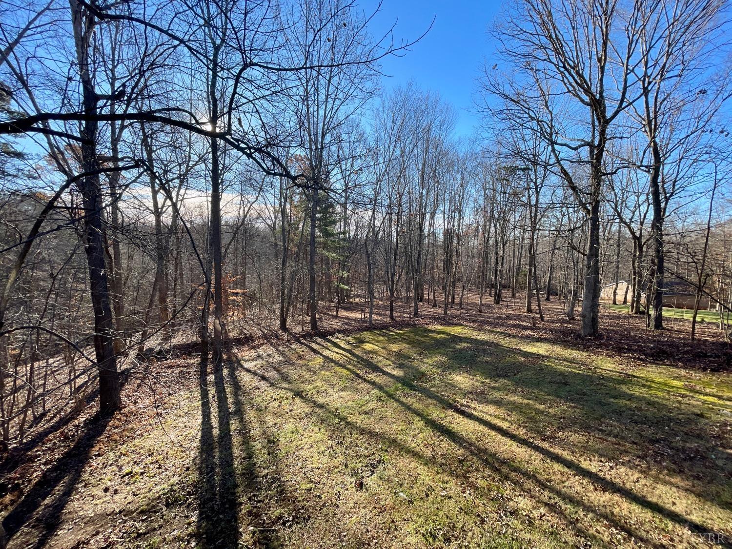 1739 Old Cifax Road Goode, VA 24556 - Photo 50 of 52 a view of a yard with trees