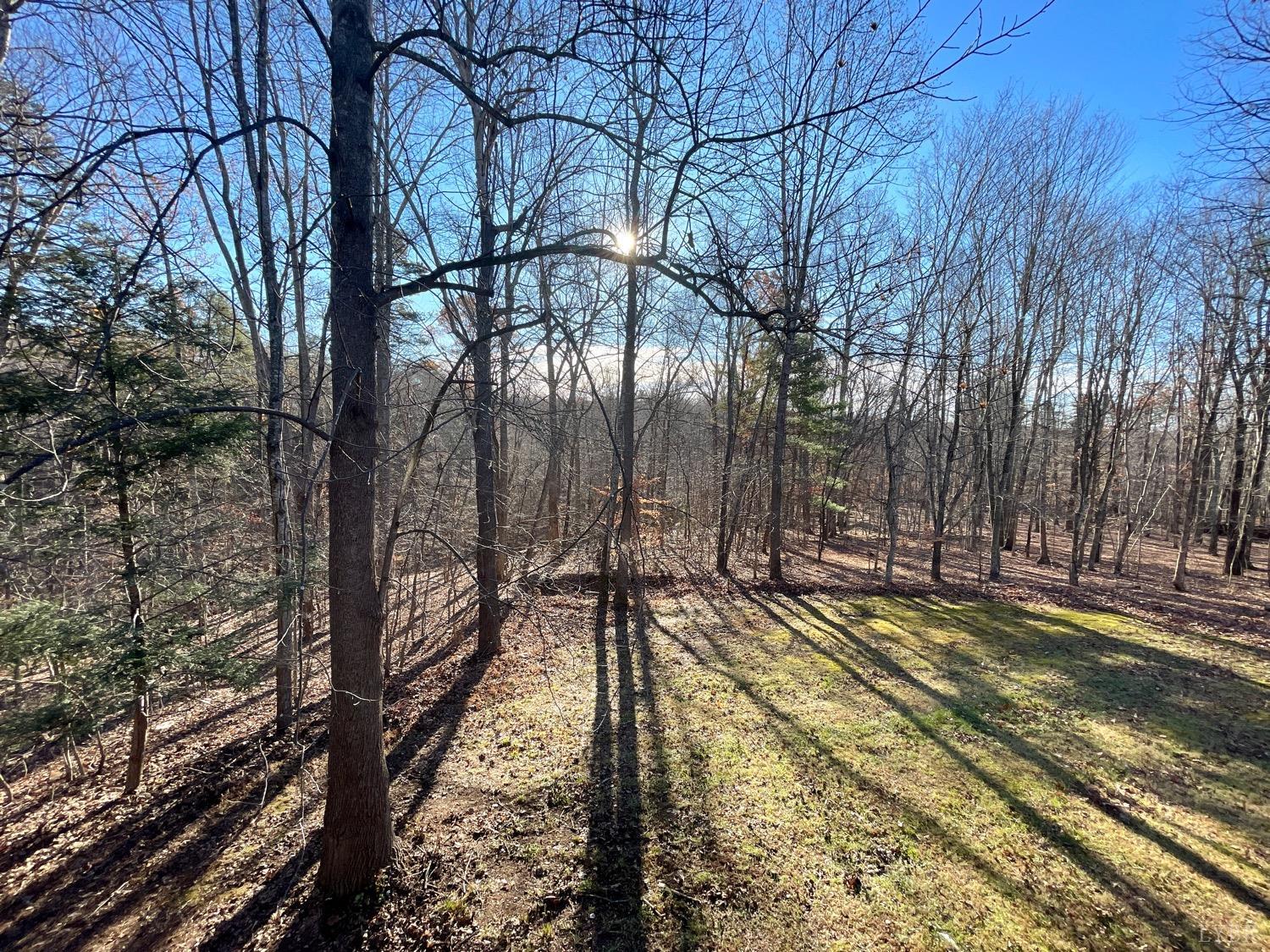 1739 Old Cifax Road Goode, VA 24556 - Photo 51 of 52 a view of a yard with swimming pool