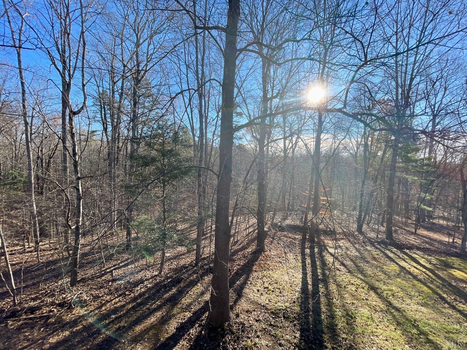 1739 Old Cifax Road Goode, VA 24556 - Photo 52 of 52 a view of a forest