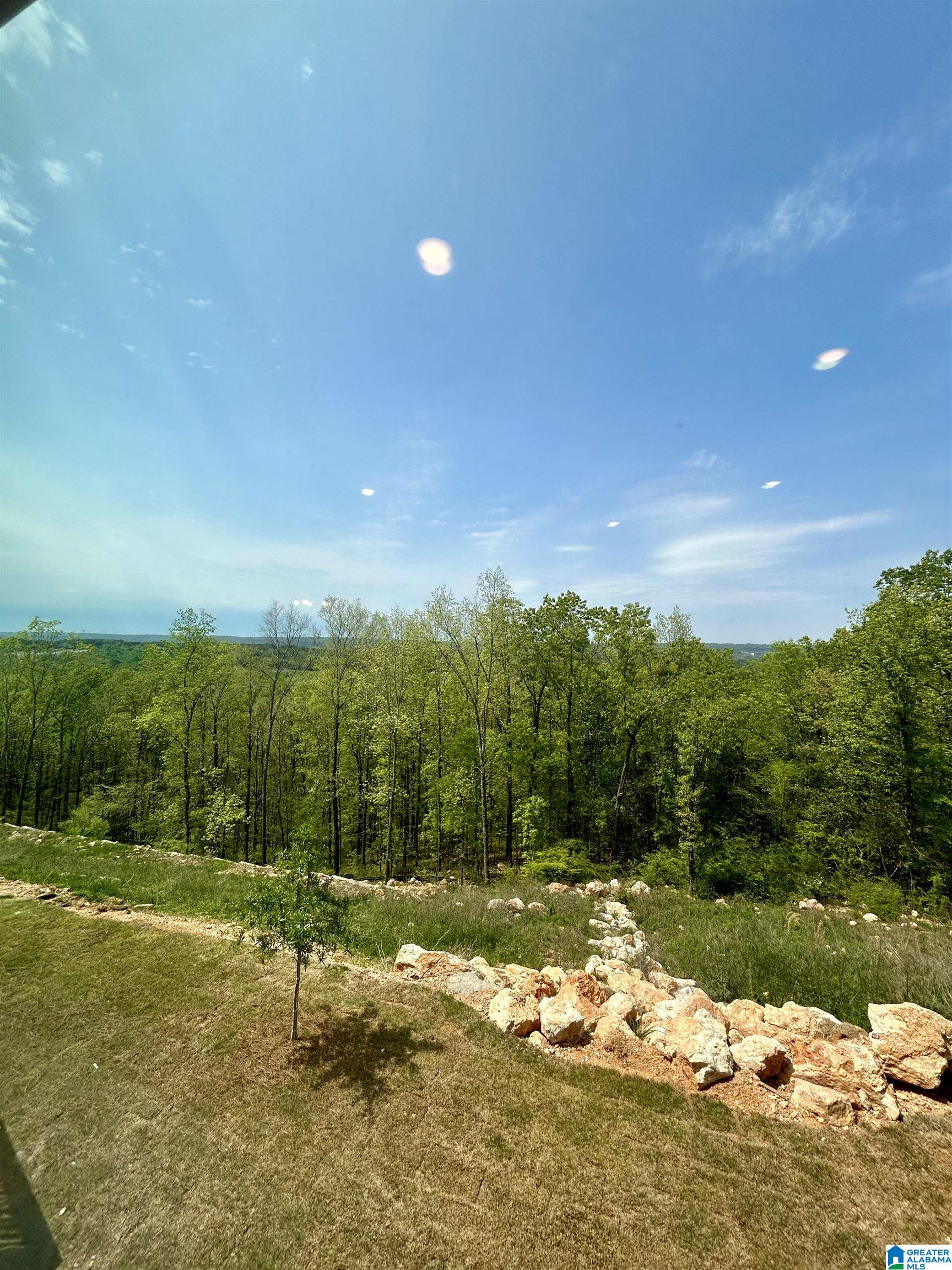 1141 Camellia Ridge Drive Pelham, AL 35124 - Photo 11 of 43