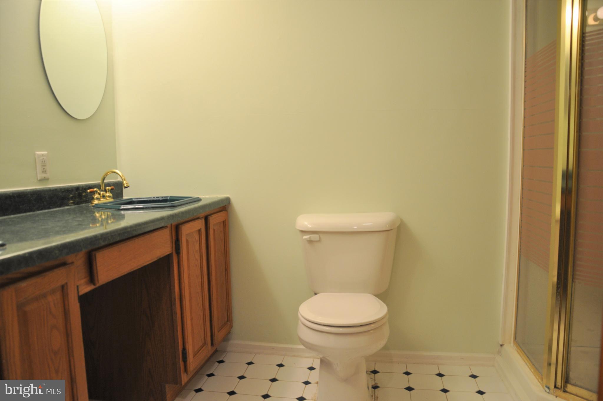 4 Rolling Road Chestertown, MD 21620 - Photo 15 of 22 Lower level Full Bathroom