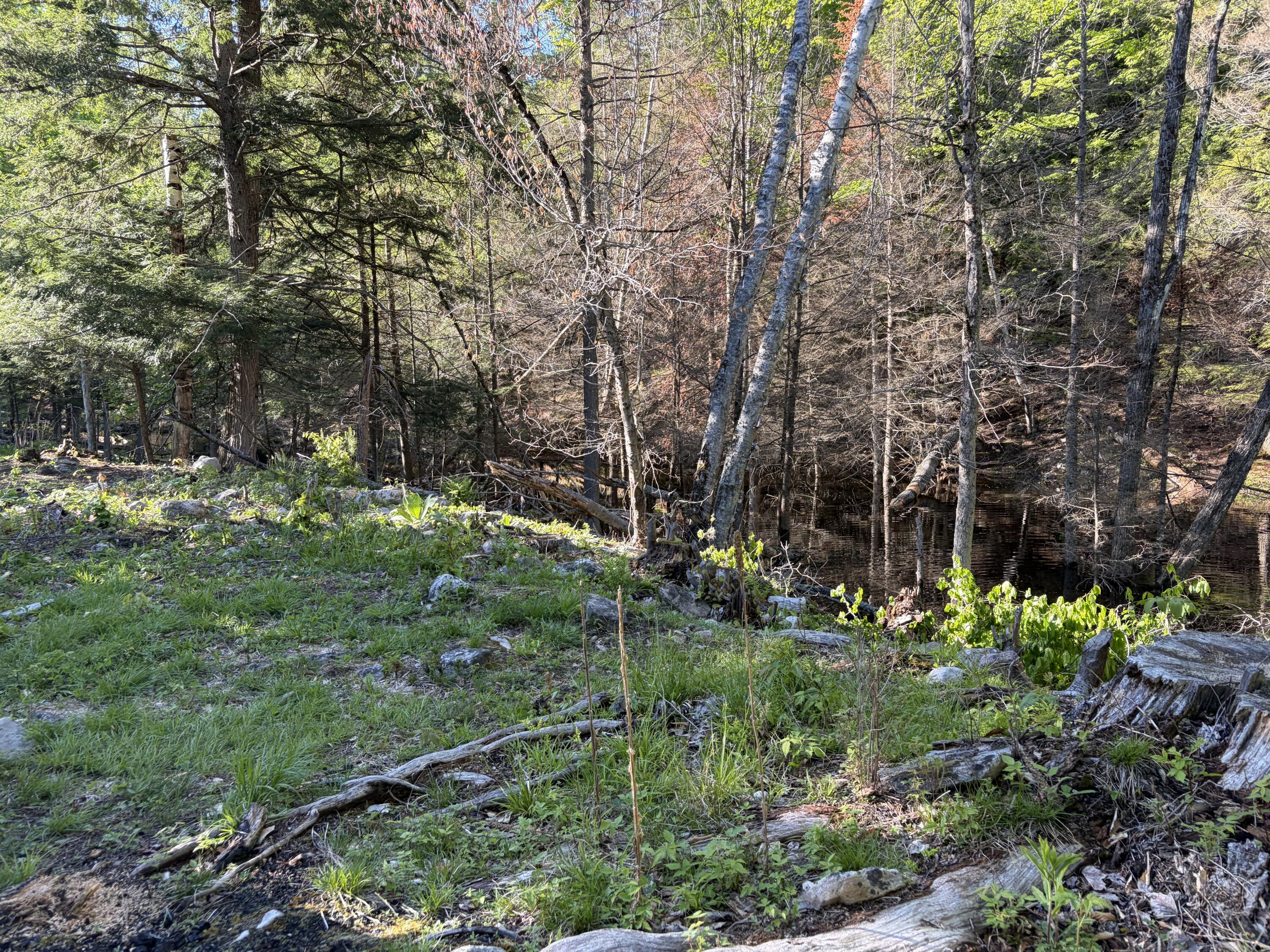 186 Town Line Road Cadyville, NY 12918 - Photo 60 of 60 Stream