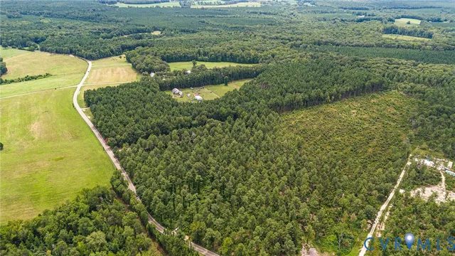 a view of a yard with plants