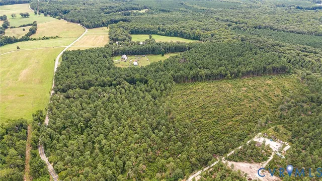 a view of a garden from a lake