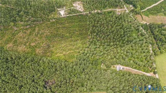 a view of a yard with plants