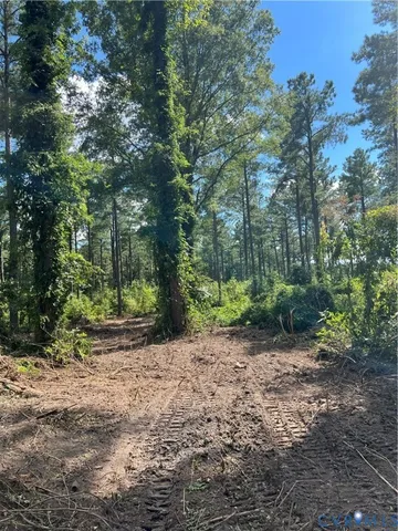 a view of a dirt road with trees in the background