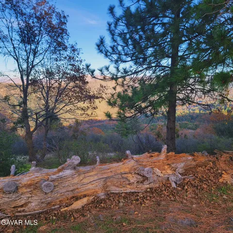 a backyard of a house with large trees