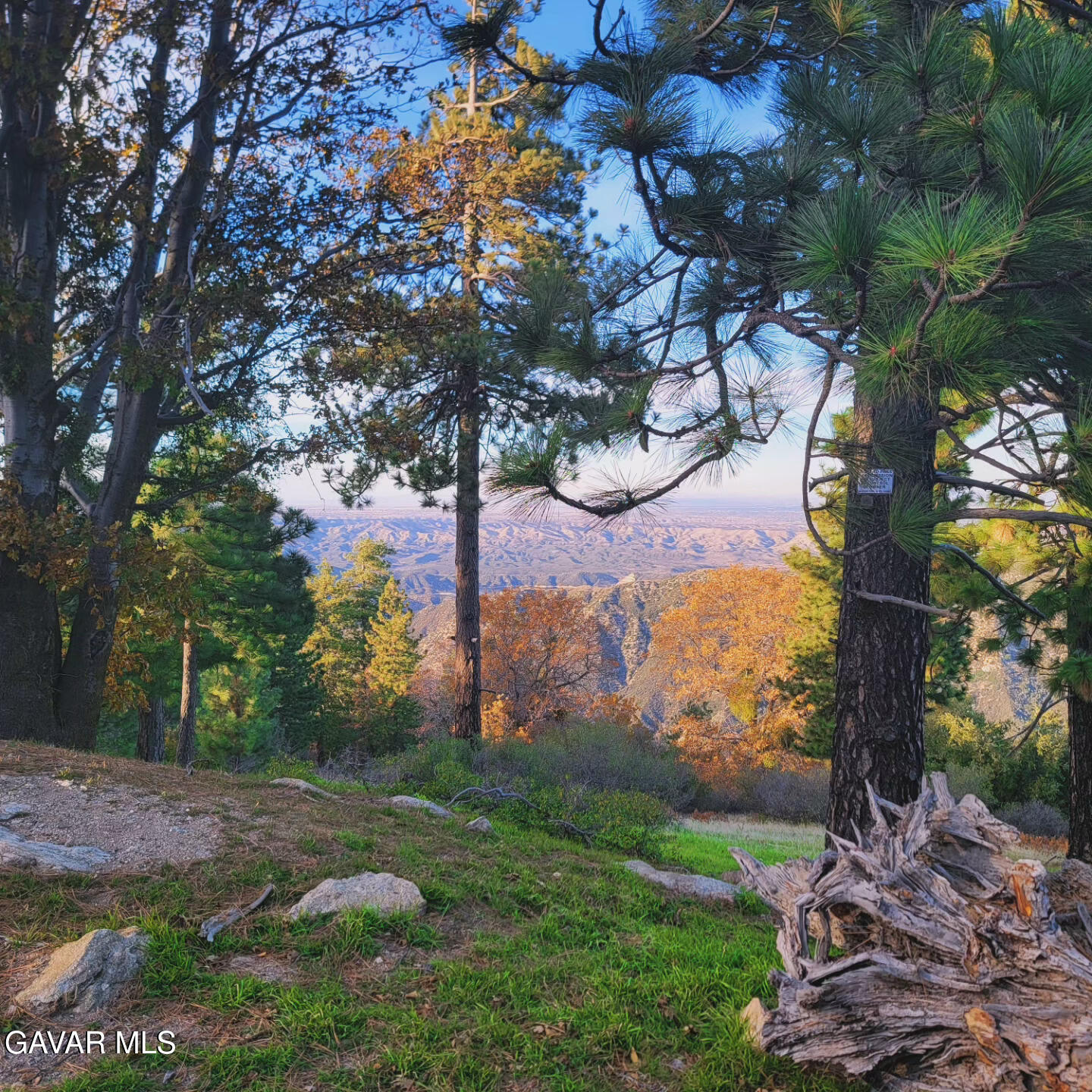 528 Mojave River Road Crestline, CA 92322 - Photo 4 of 10 a view of a tree with a yard