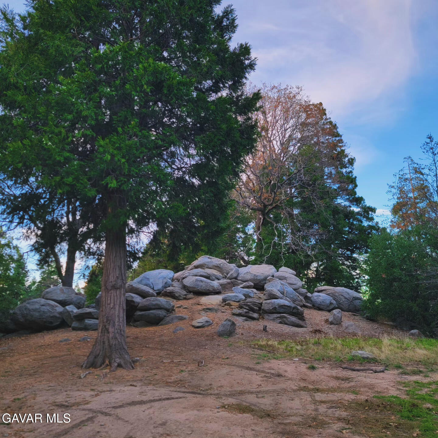 528 Mojave River Road Crestline, CA 92322 - Photo 6 of 10 a view of a yard with a tree