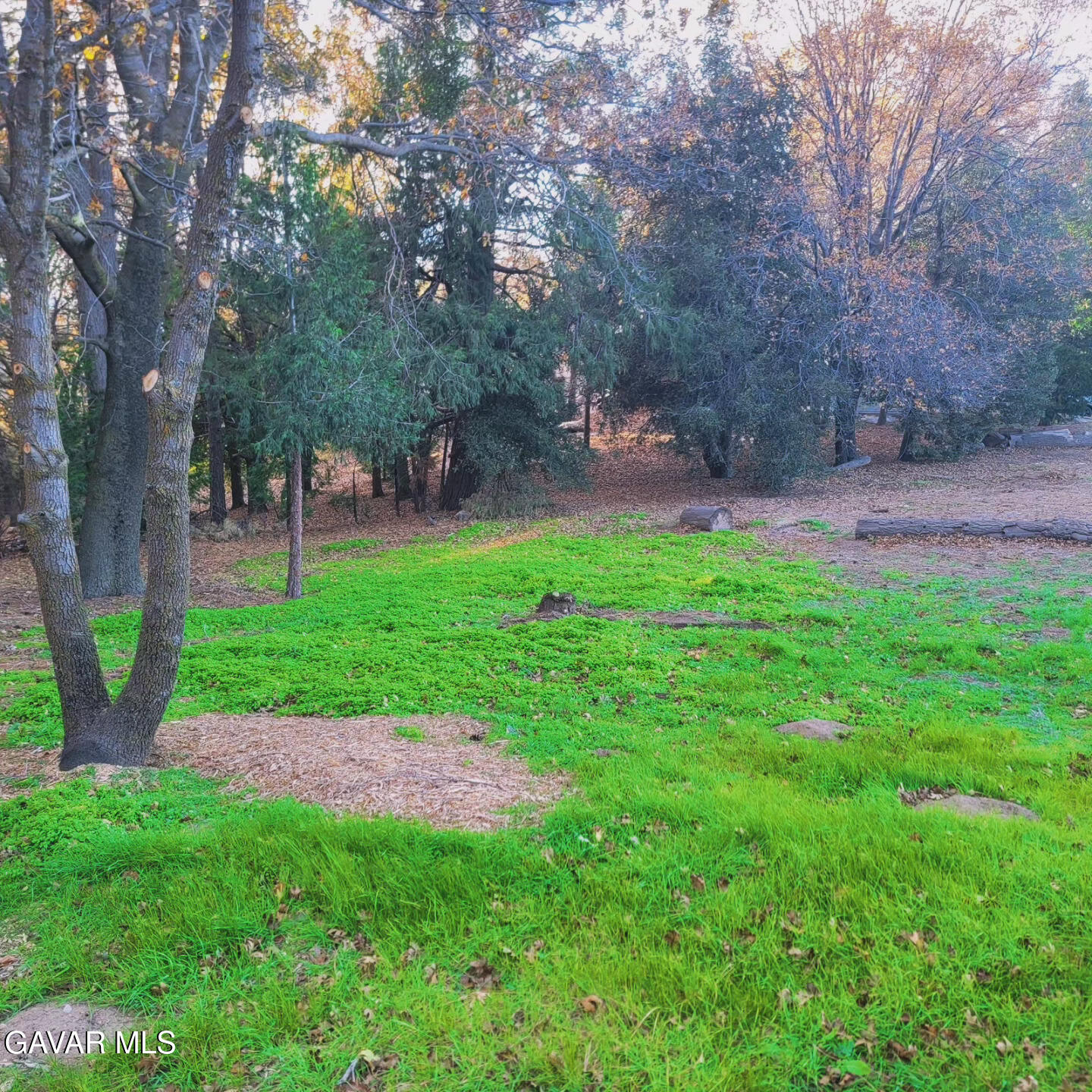 528 Mojave River Road Crestline, CA 92322 - Photo 9 of 10 a backyard of a house with lots of green space