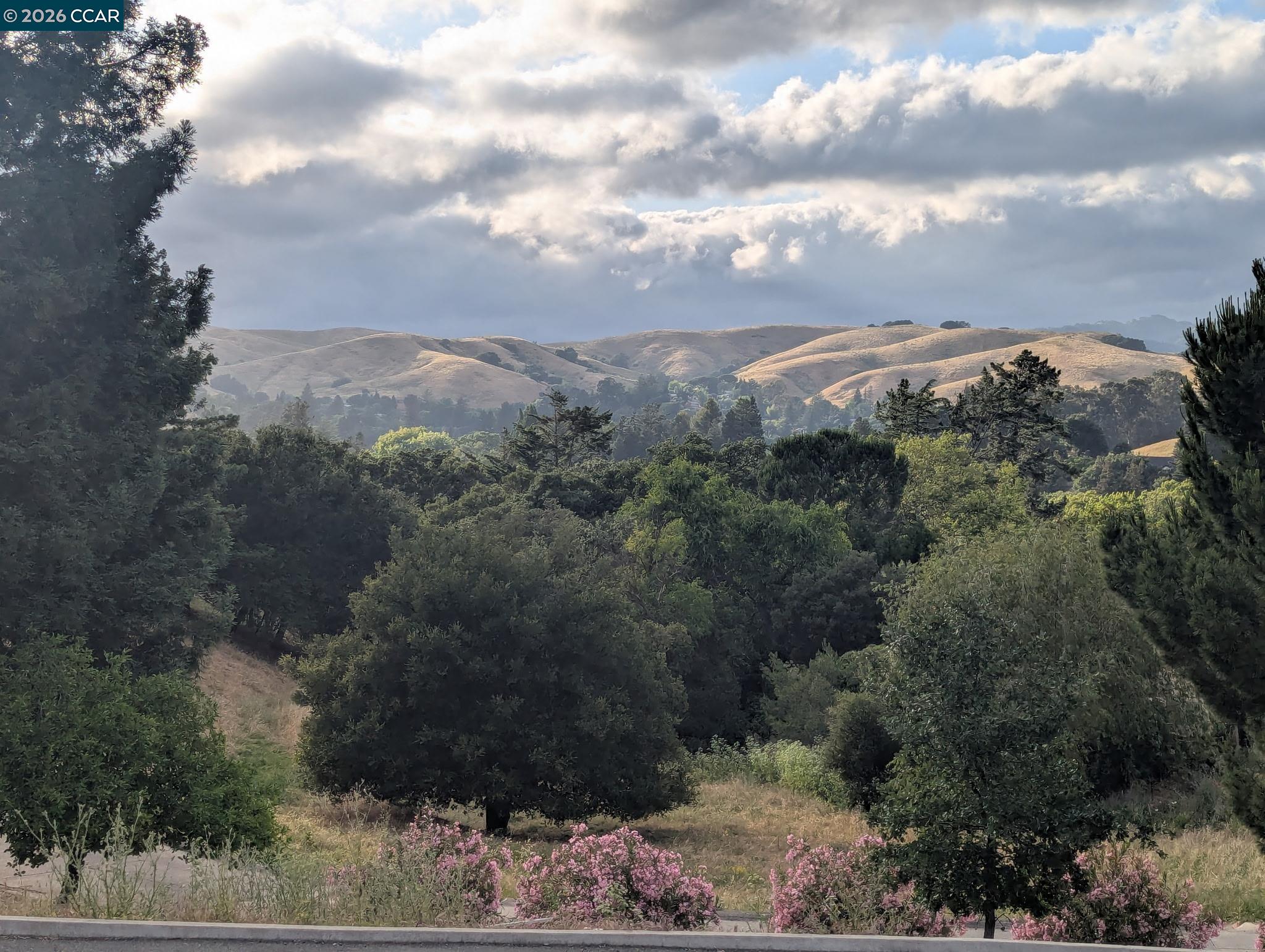 370 Castello Road Lafayette, CA 94549 - Photo 27 of 27