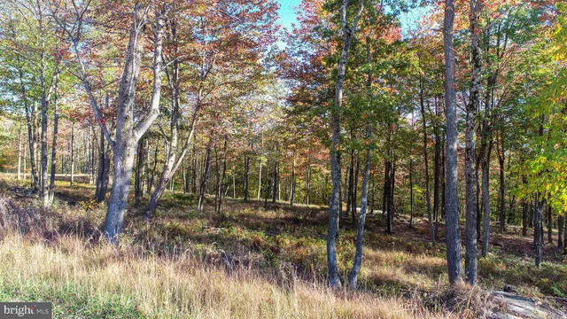 $119,900 | 157 Fork Run Trail, McHenry, MD 21541