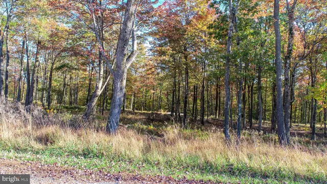 $119,900 | 157 Fork Run Trail, McHenry, MD 21541