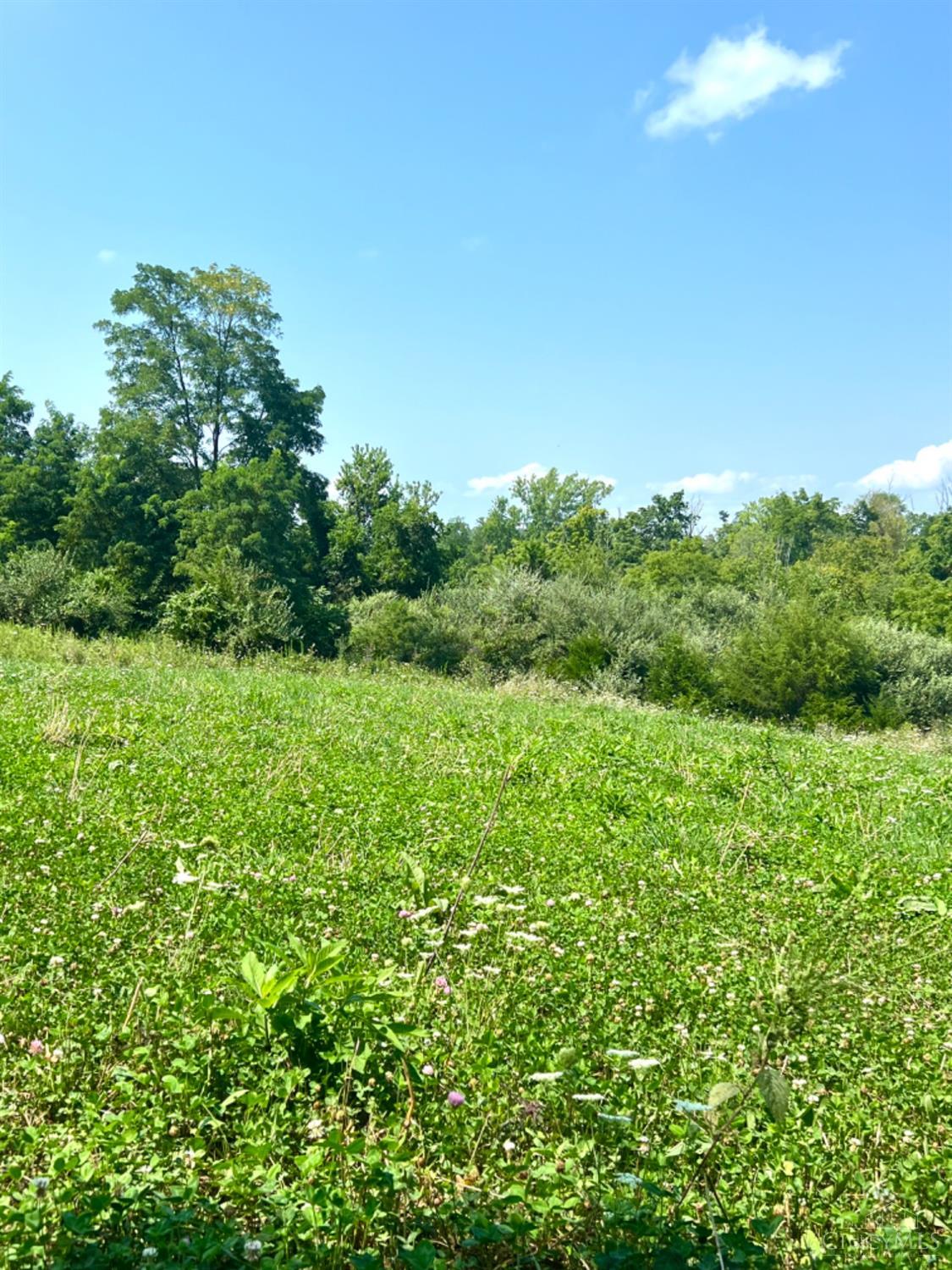 0 Brier Ridge Road West Union, OH 45693 - Photo 80 of 98