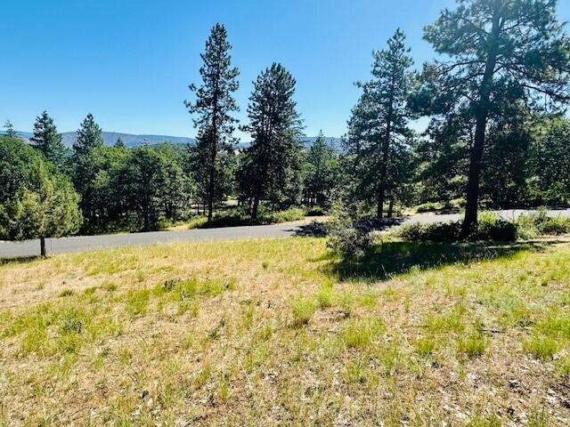 Coopers Hawk Road Klamath Falls, OR 97601 - Photo 8 of 10 8