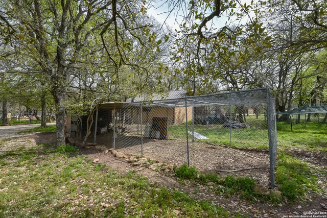 a view of a house with backyard and a tree