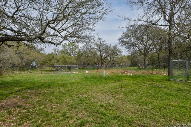 a swimming pool with tall trees