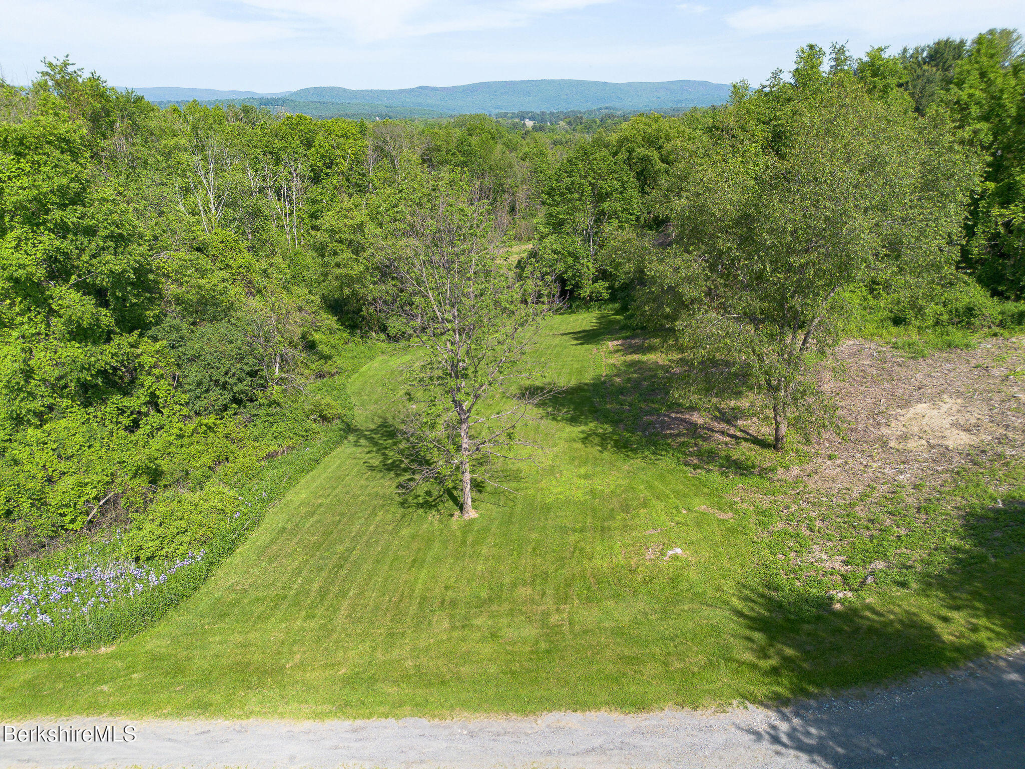 a view of a garden