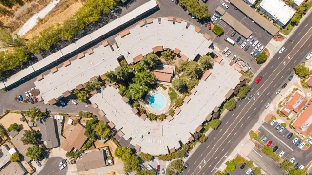 a close up of a flower pot