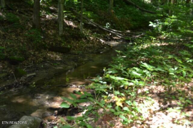 2390 Pea Ridge Fire Tower Road Celina, TN 38551 - Photo 28 of 58 DSC_0113